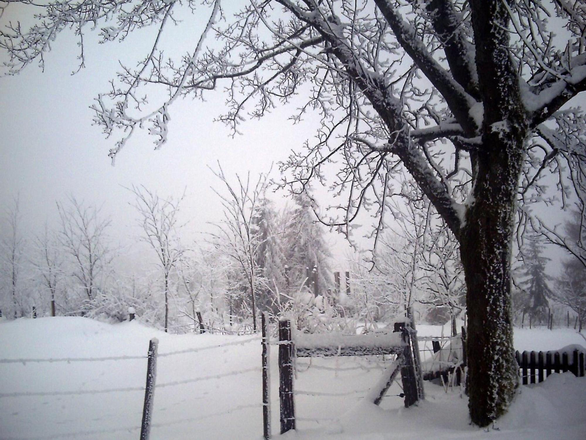 שמאלנברג Cosy Apartment In Menkhausen Near The Ski Area מראה חיצוני תמונה