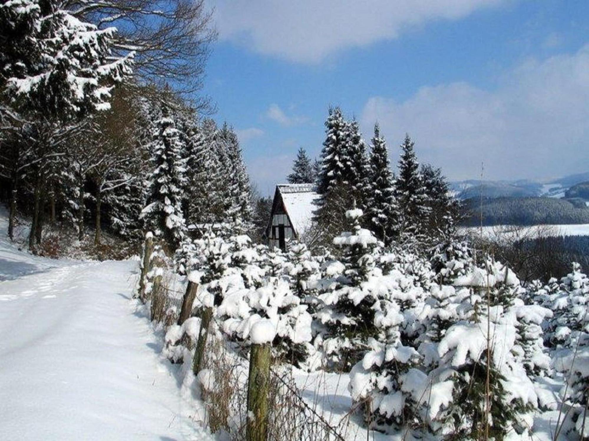 שמאלנברג Cosy Apartment In Menkhausen Near The Ski Area מראה חיצוני תמונה